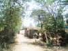 gaon-1