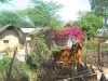 gaon-14
