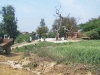 gaon-18