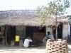gaon-7